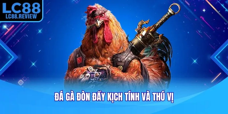 Đá gà đòn đầy kịch tính và thú vị