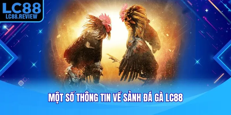 Một số thông tin về sảnh đá gà LC88